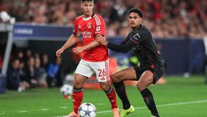 Dahl no Benfica-Bayer