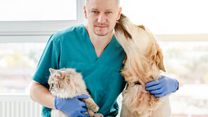 Fim das diferenças! Ordem dos Veterinários pede IVA a 6% para animais de companhia e de produção