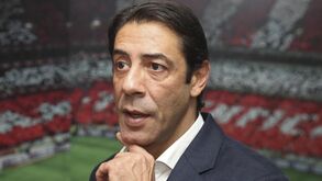 Rui Costa aborda eleições no Benfica e Conselho Fiscal