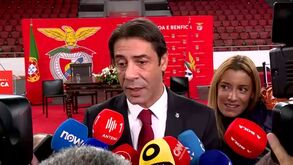 Rui Costa sobre o Santa Clara-Sporting: «O Benfica vai manifestar-se e pedir responsabilidades a quem tutela»