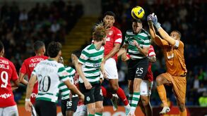 Santa Clara volta a receber Sporting, agora na Taça