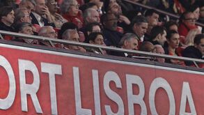 Rui Costa na tribunal presidencial no Benfica-Casa Pia