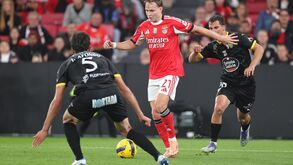 Selecionador da Noruega explica permanência de Schjelderup no grupo: «Por que deveria puni-lo ainda mais?