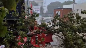 Esplanadas derrubadas e ramos de árvores no chão: os efeitos do mau tempo em Olhão