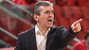 Norberto Alves, treinador do Benfica