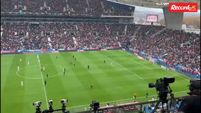Perseguição no relvado do Dragão: invasor 'disfarçou-se' e fintou stewards