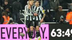 Jogadores do Newcastle celebram