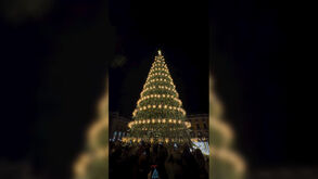 «3,2,1... é Natal em Lisboa!»: pinheiro já brilha na Praça do Comércio