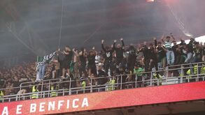 Adeptos do Sporting preparam-se para o dérbi com o Benfica no Estádio da Luz