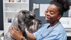 Hora do check-up! Estes são os 7 sinais a que deve estar atento no seu animal de estimação