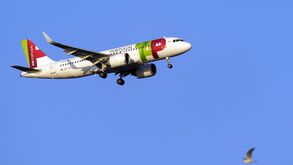 Venezuela proíbe voos da TAP e outras transportadoras aéreas para o país