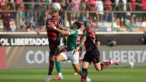 Final da Libertadores: Palmeiras e Flamengo disputam a taça