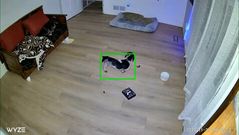 Imagens mostram o momento em que sismo de magnitude 6 atingiu o Alasca 