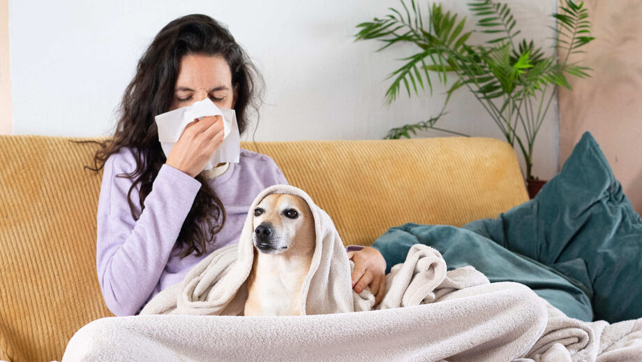 Constipações caninas e felinas: mito ou verdade? Descubra aqui