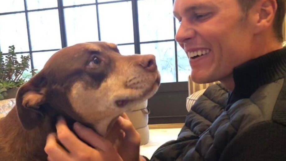 Tom Brady com a cadela 'Lua'