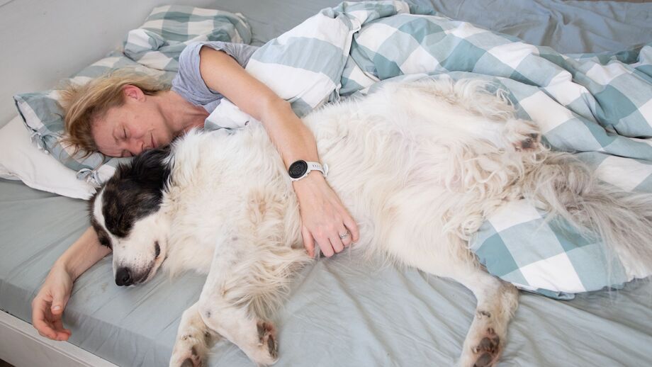 Será que é boa ideia dormir com os patudos? Fique com os prós e contras