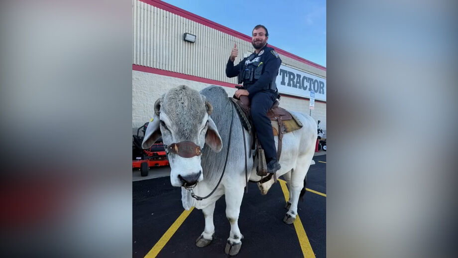 Tudo acabou num momento de boa disposição