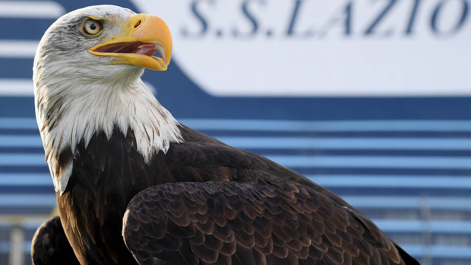 Lazio anuncia chegada de nova águia