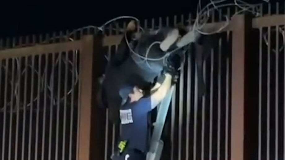 Foi resgatada em segurança e detida por entrar ilegalmente no país