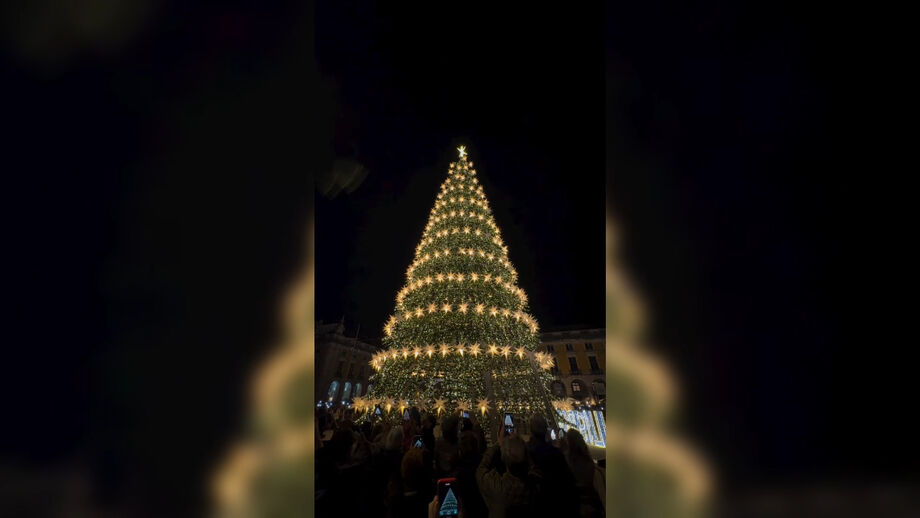 Iluminações de Natal da capital foram inauguradas, este sábado. Conheça os horários para ver as luzes nesta época festiva
