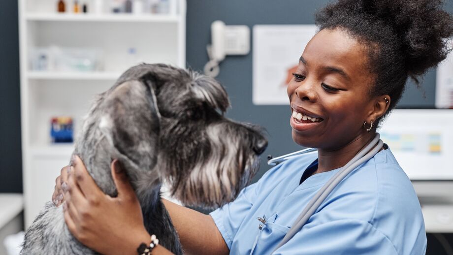 Coxeia (manca) de repente ou após esforço  Evita subir escadas ou saltar para o sofá/cama como antes  Chora ou rosna quando alguém toca numa determinada zona  Levanta-se com dificuldade ou parece “preso” quando se levanta  Podem ser problemas articulares (artrose, displasia), lesões musculares, problemas de coluna ou outras causas de dor.
