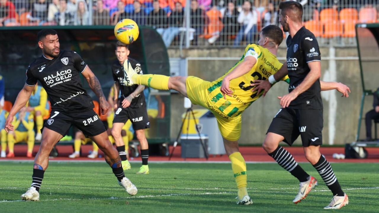 Ac. Viseu e Tondela plantam carvalhos em Vouzela com apoio da Liga Portugal