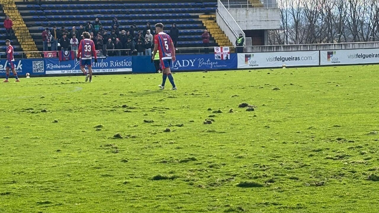 Estado do relvado do Felgueiras-FC Porto B recebe críticas de João Brandão