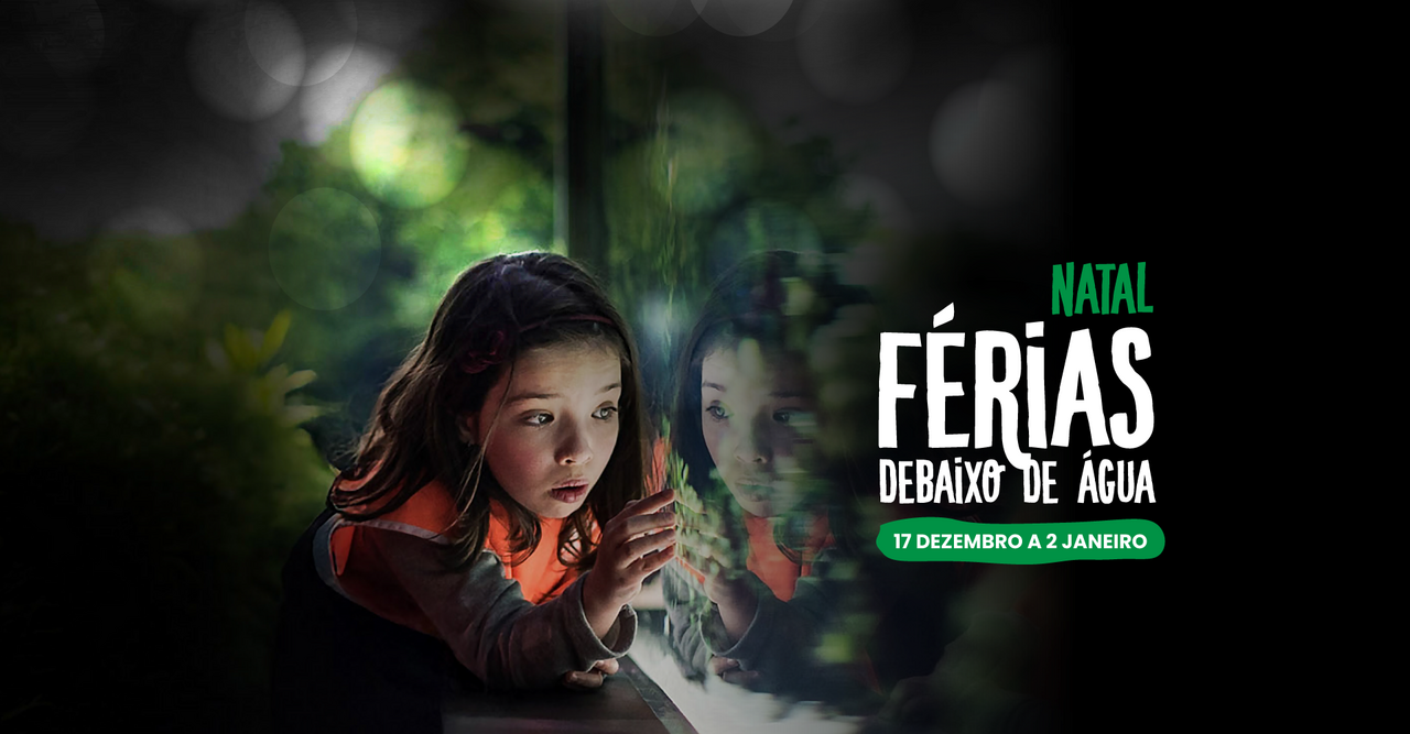 Férias de Natal com vista para o fundo do mar. O Oceanário de Lisboa volta a abrir portas aos mais novos