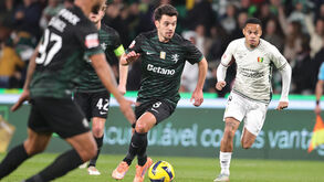 Pote muito acarinhado no regresso