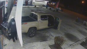 Ladrões invadem barbearia com carrinha e roubam gato de estimação