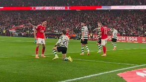 Dedic 'picou' Maxi Araújo após golo do Benfica 