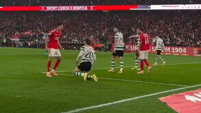 Dedic 'picou' Maxi Araújo após golo do Benfica