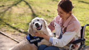 Da hipoterapia aos cães: como a intervenção assistida por animais está a crescer em Portugal