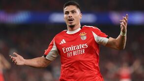 Selecionador da Croácia lamenta: «Ivanovic quase não joga no Benfica»