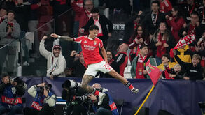 Rafa celebra golo contra o Nápoles, com adeptos em êxtase