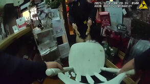 Rena invade loja de Natal e acaba com a cabeça presa numa cadeira