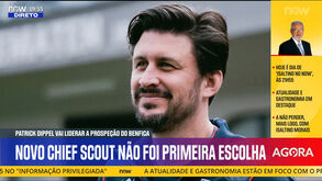 O perfil de Patrick Dippel e quem era a primeira escolha de Rui Costa para chief scout do Benfica
