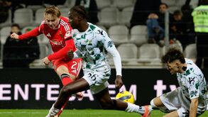 Schjelderup em ação