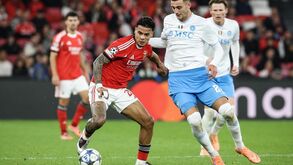 Lorenzo Lucca contra Ríos no Benfica-Nápoles