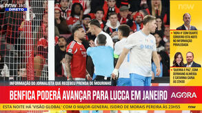 Lorenzo Lucca, o avançado de 2 metros oferecido ao Benfica: informação do jornalista que recebeu prenda de Mourinho
