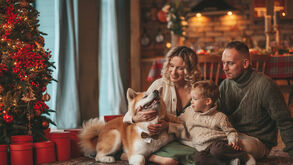 Família festeja o Natal com animal de estimação em casa