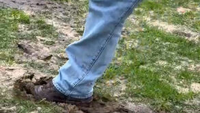 O estado do relvado que obrigou a que o Caldas-Sp. Braga fosse alterado para Torres Vedras