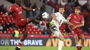 Bom augúrio frente aos galos