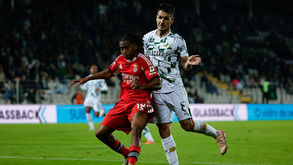 Barreiro de volta para furar a Pedreira de Braga: o que dizem os números