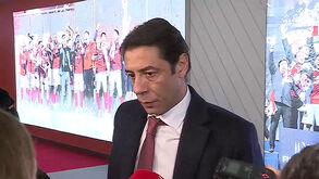 Rui Costa: «Golo limpo, completamente limpo, que foi anulado de forma inacreditável»