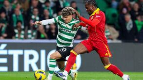 Melhor Maxi em Alvalade