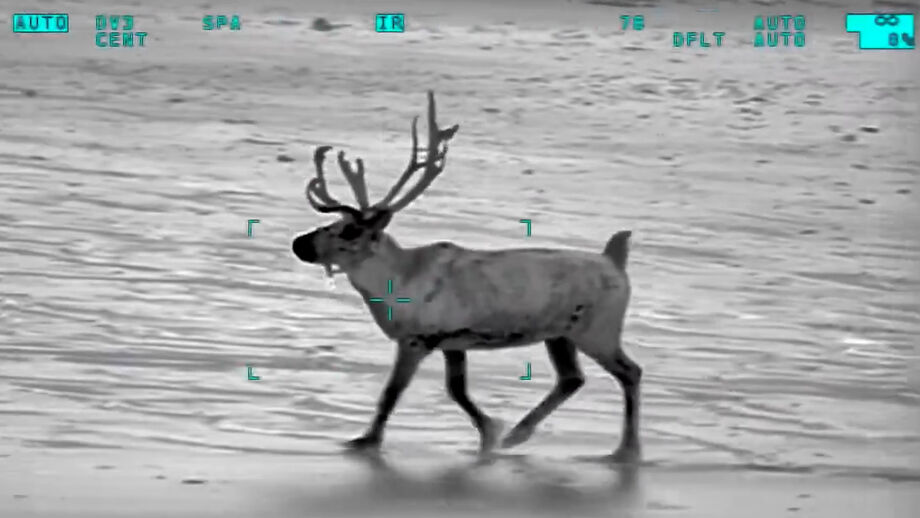 Resgate em segurança