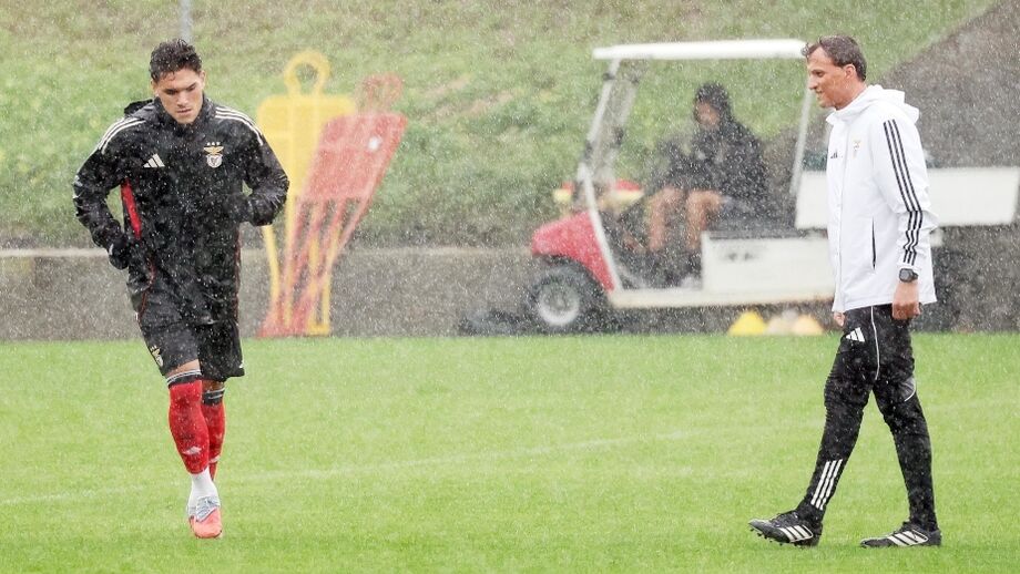 Vítor Vinha antevê jogo do Benfica com o Nápoles na Youth League.
