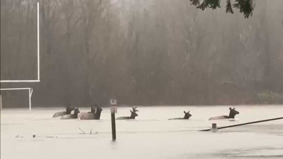 Cheias têm afetado o estado de Washington