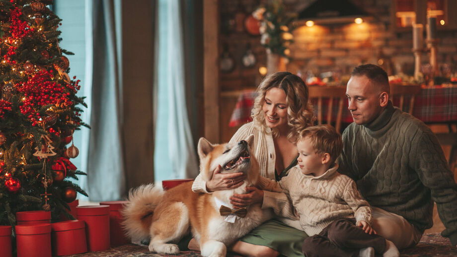 Família festeja o Natal com animal de estimação em casa